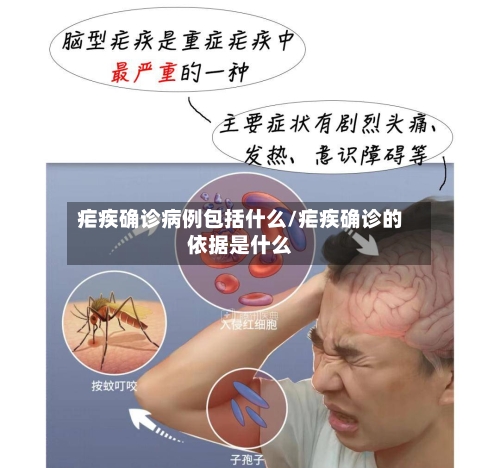 疟疾确诊病例包括什么/疟疾确诊的依据是什么-第3张图片