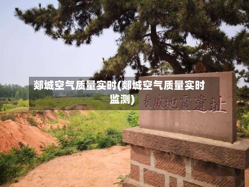 郯城空气质量实时(郯城空气质量实时监测)-第3张图片