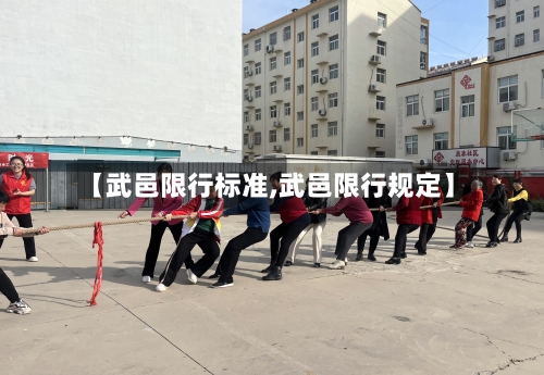 【武邑限行标准,武邑限行规定】