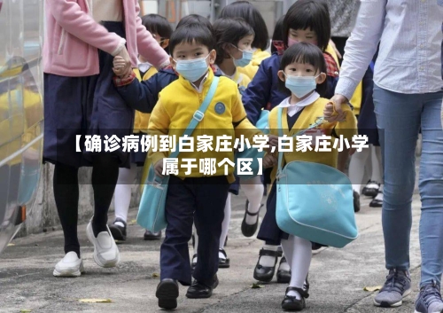 【确诊病例到白家庄小学,白家庄小学属于哪个区】-第2张图片
