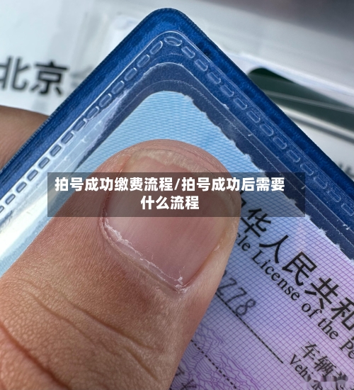 拍号成功缴费流程/拍号成功后需要什么流程-第2张图片