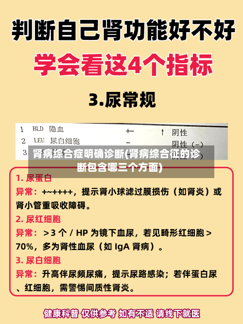 肾病综合症明确诊断(肾病综合征的诊断包含哪三个方面)-第2张图片