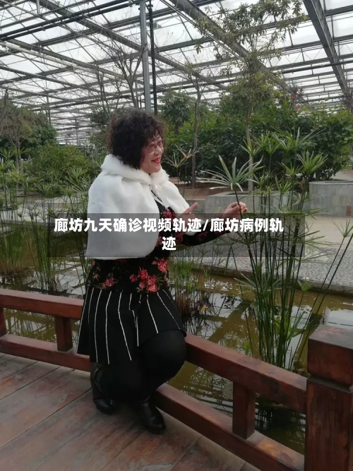 廊坊九天确诊视频轨迹/廊坊病例轨迹