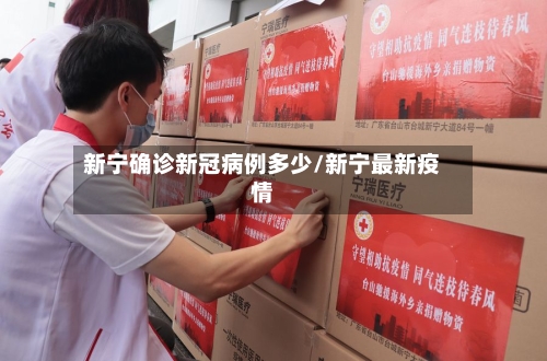 新宁确诊新冠病例多少/新宁最新疫情