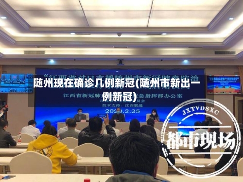 随州现在确诊几例新冠(随州市新出一例新冠)-第2张图片