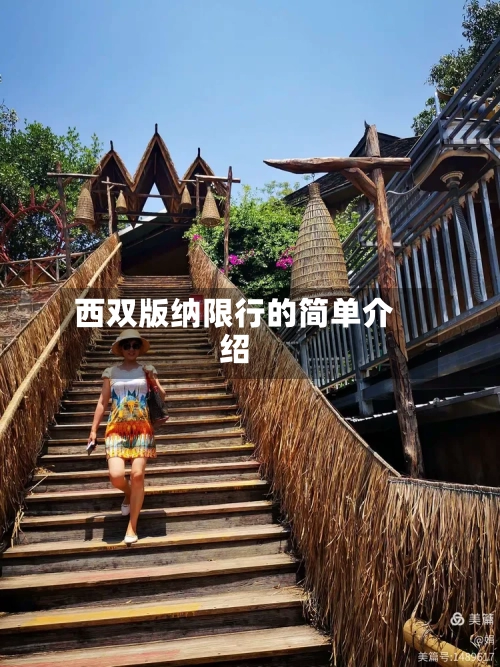 西双版纳限行的简单介绍-第3张图片