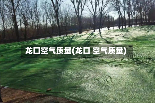 龙囗空气质量(龙口 空气质量)
