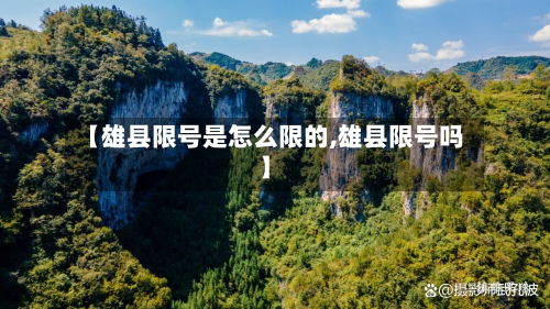 【雄县限号是怎么限的,雄县限号吗】-第2张图片