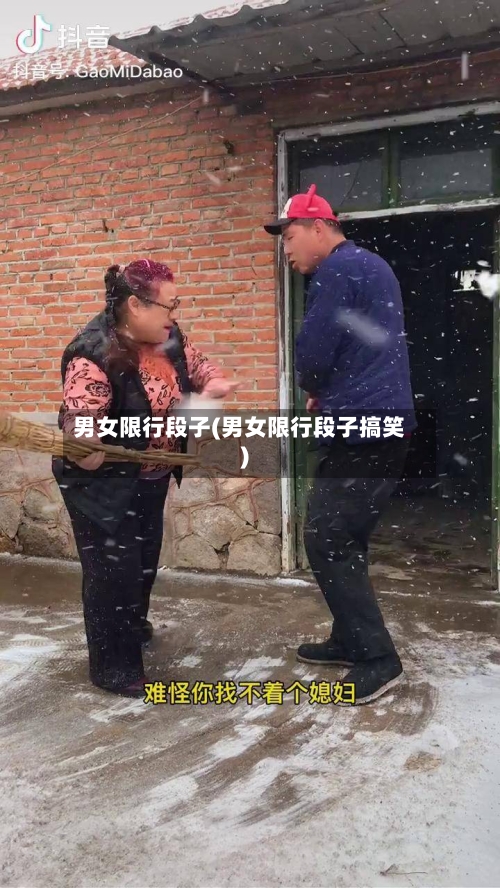 男女限行段子(男女限行段子搞笑)