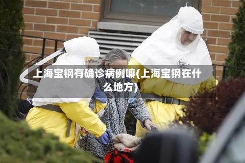 上海宝钢有确诊病例嘛(上海宝钢在什么地方)