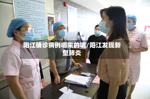 阳江确诊病例哪来的呢/阳江发现新型肺炎-第2张图片