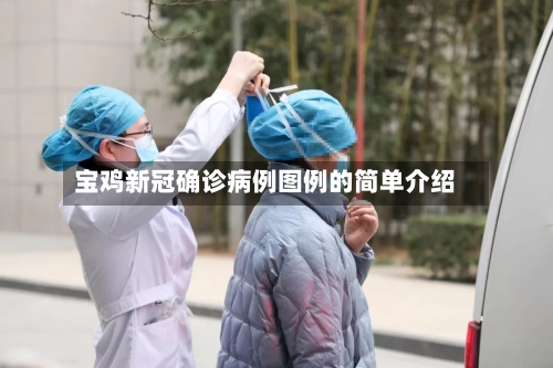 宝鸡新冠确诊病例图例的简单介绍
