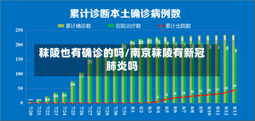 秣陵也有确诊的吗/南京秣陵有新冠肺炎吗-第2张图片