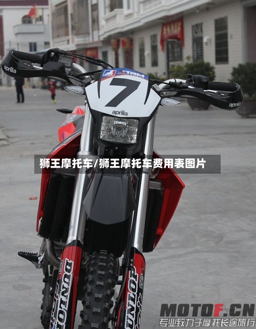 狮王摩托车/狮王摩托车费用表图片