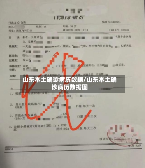 山东本土确诊病历数据/山东本土确诊病历数据图-第2张图片