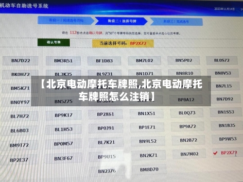 【北京电动摩托车牌照,北京电动摩托车牌照怎么注销】-第2张图片