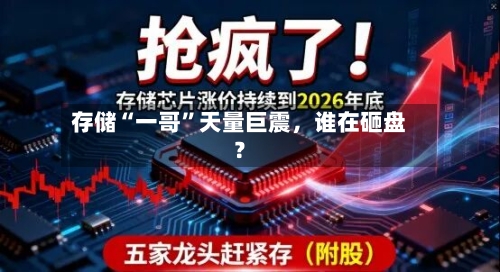 存储“一哥”天量巨震，谁在砸盘？-第2张图片