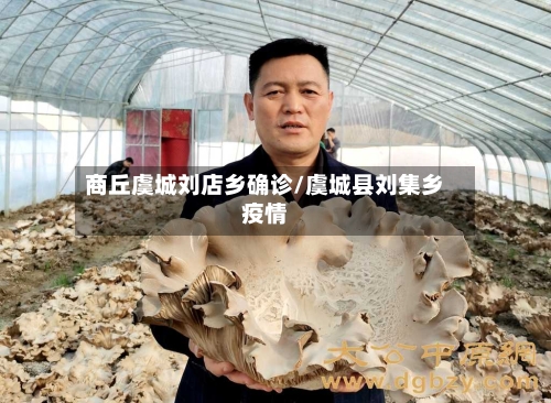 商丘虞城刘店乡确诊/虞城县刘集乡疫情-第2张图片