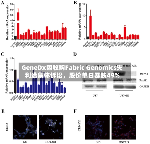 GeneDx因收购Fabric Genomics失利遭集体诉讼	，股价单日暴跌49%-第2张图片