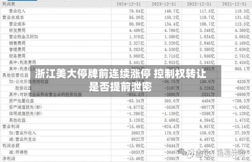 浙江美大停牌前连续涨停 控制权转让是否提前泄密-第2张图片