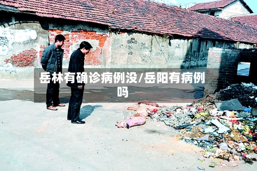 岳林有确诊病例没/岳阳有病例吗