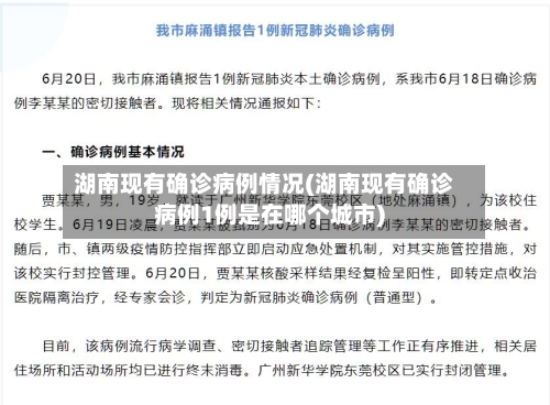 湖南现有确诊病例情况(湖南现有确诊病例1例是在哪个城市)-第3张图片