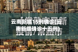 云南新增15例确诊(云南新增确诊十五例)-第3张图片