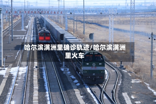 哈尔滨满洲里确诊轨迹/哈尔滨满洲里火车-第2张图片