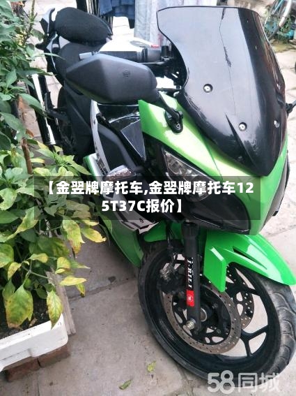 【金翌牌摩托车,金翌牌摩托车125T37C报价】-第2张图片