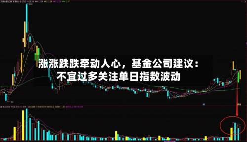涨涨跌跌牵动人心,基金公司建议:不宜过多关注单日指数波动