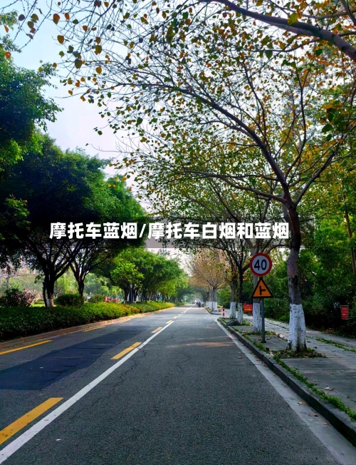 摩托车蓝烟/摩托车白烟和蓝烟