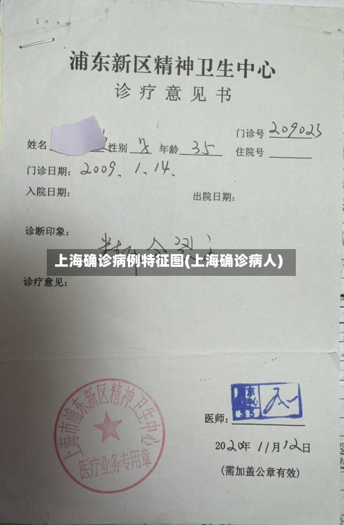 上海确诊病例特征图(上海确诊病人)