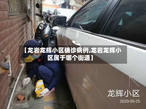 【龙岩龙辉小区确诊病例,龙岩龙辉小区属于哪个街道】-第2张图片