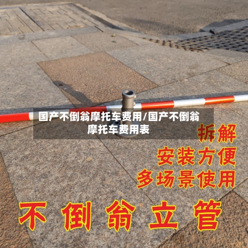 国产不倒翁摩托车费用/国产不倒翁摩托车费用表