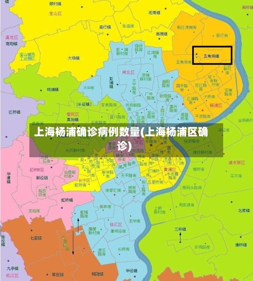 上海杨浦确诊病例数量(上海杨浦区确诊)