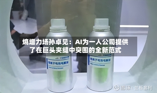 熵增力场孙卓见：AI为一人公司提供了在巨头夹缝中突围的全新范式-第3张图片
