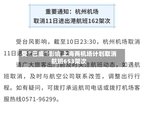 受“巴威”影响 上海两机场计划取消航班653架次-第2张图片