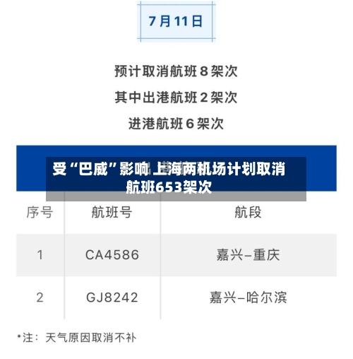 受“巴威”影响 上海两机场计划取消航班653架次-第3张图片