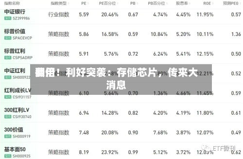 费用
翻倍!利好突袭:存储芯片,传来大消息