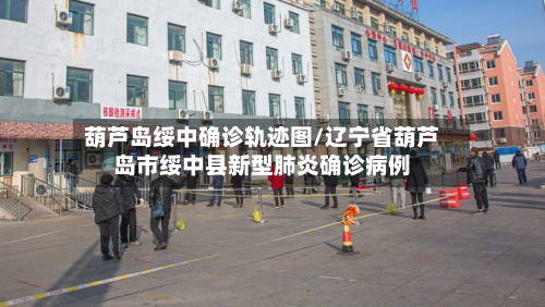 葫芦岛绥中确诊轨迹图/辽宁省葫芦岛市绥中县新型肺炎确诊病例