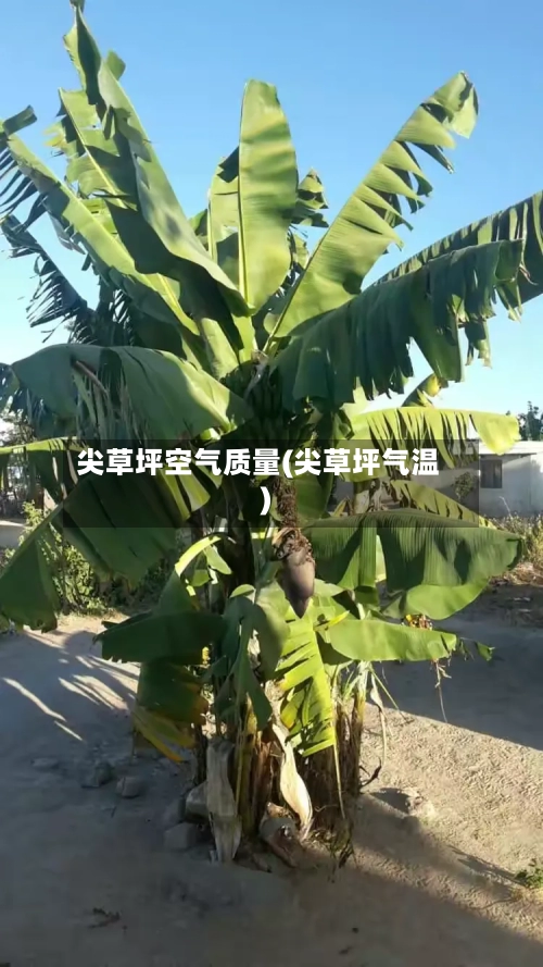 尖草坪空气质量(尖草坪气温)