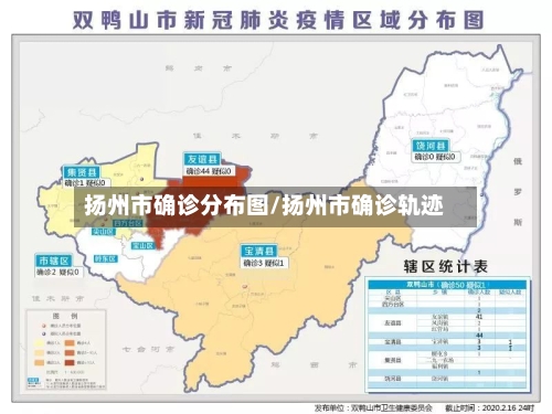 扬州市确诊分布图/扬州市确诊轨迹