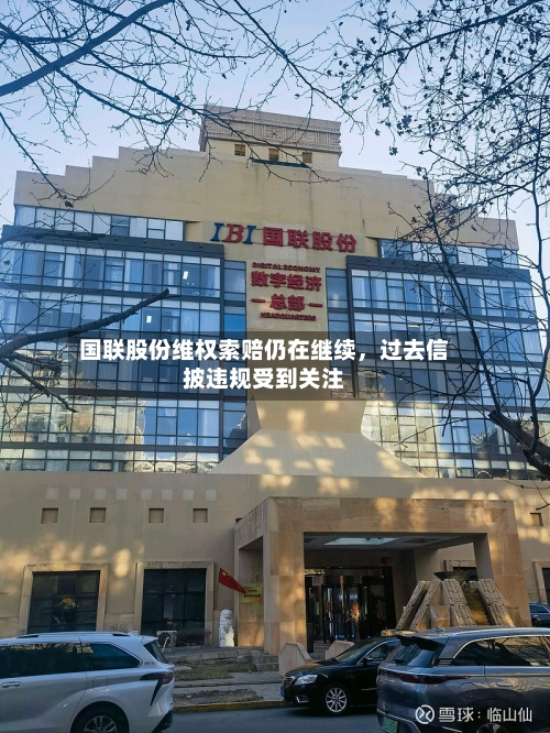 国联股份维权索赔仍在继续，过去信披违规受到关注-第3张图片