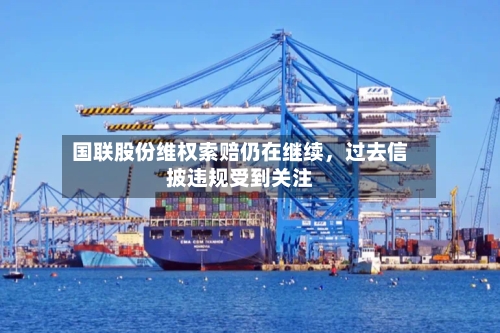 国联股份维权索赔仍在继续，过去信披违规受到关注-第2张图片