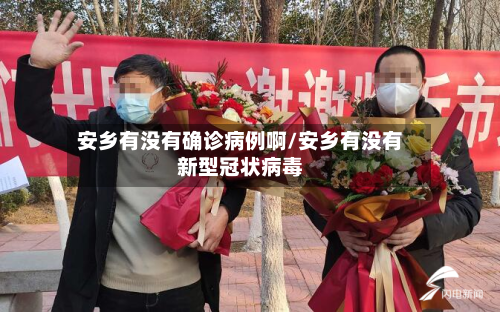 安乡有没有确诊病例啊/安乡有没有新型冠状病毒-第2张图片