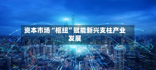 资本市场“枢纽	”赋能新兴支柱产业发展-第2张图片