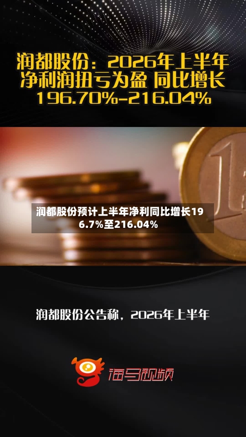 润都股份预计上半年净利同比增长196.7%至216.04%-第1张图片