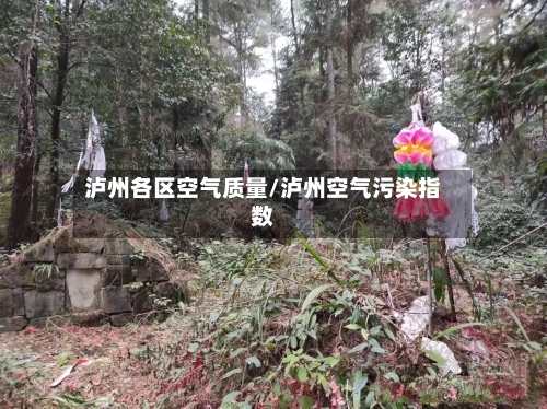 泸州各区空气质量/泸州空气污染指数-第2张图片