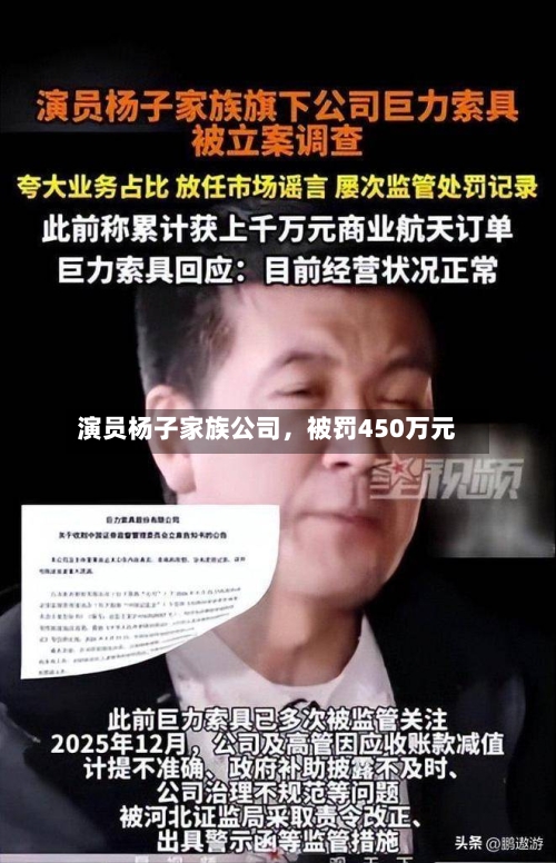 演员杨子家族公司，被罚450万元-第3张图片