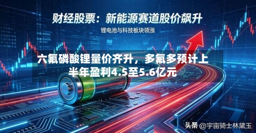 六氟磷酸锂量价齐升，多氟多预计上半年盈利4.5至5.6亿元-第2张图片